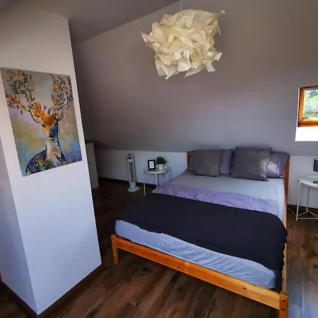 Zwickau City Apartment Zwickau