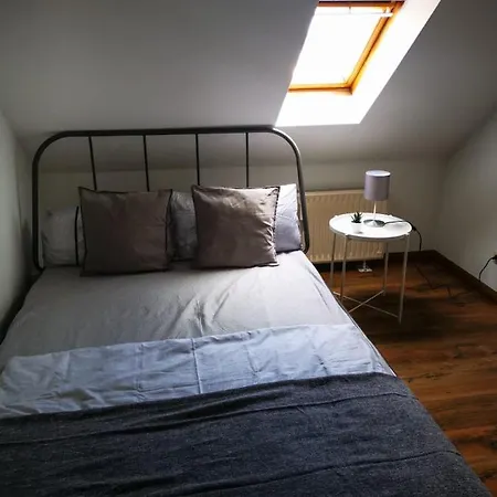  Zwickau City Apartment Zwickau