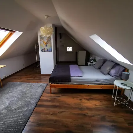 Zwickau City Apartment 
