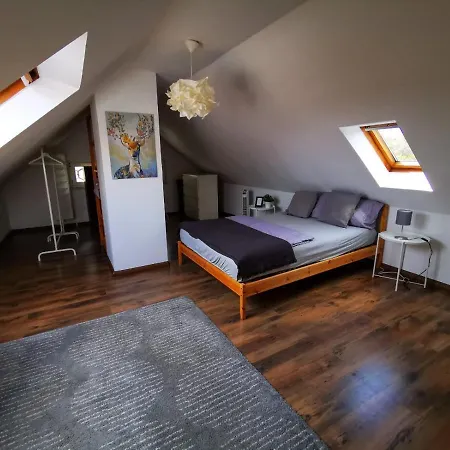  Zwickau City Apartment Zwickau
