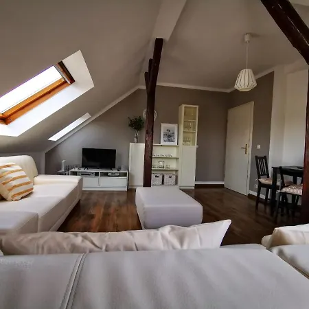 Zwickau City Apartment 